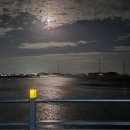 오블리크198 이미지