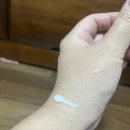 챔프 태권도 | 셀메드 설포플렉스 크림 사용 후기 - 아이 발목 삐었을 때 효과 있었던 통증 크림 리뷰