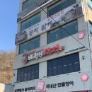 바람난장어 이미지