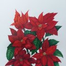색연필 보태니컬 아트 이미지