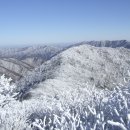 제41차 1월 정기산행 "계방산(1,577.4m)" 좌석신청란. 이미지