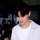데이즈인블룸 이미지