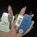 모리펫샵 | 7/11~7/14 나고야 3박4일 혼여행 1편 나고야메시를위해,나고야 죠죠바 모리오쵸!!!!