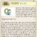 데이큐