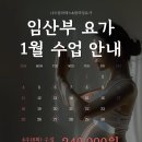 나르플라잉요가