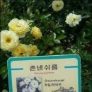 꽃을주는사람 이미지