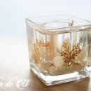 여름에 어울리는 캔들공예 이미지