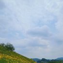 원주굽이길 7코스 태조왕건길 이미지