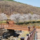 신상동 인공습지 이미지