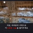 사회적협동조합 한마음봉사단 | 전국150개 동물보호단체 연대, 반려동물 경매장 철폐 서명링크(QR) 무한공유 해주세요!!