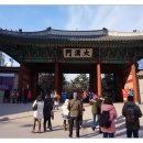 돌담추억 이미지