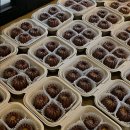 연의양과 이미지