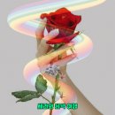 Ray Conniff &amp; The Singers - Somewhere My Love (닥터 지바고 OST) 이미지