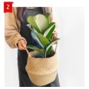 오픈박스 나운점 이미지