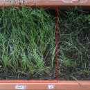 빨간산농장 이미지