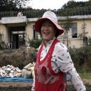 하동산초농장 이미지