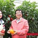 조성봉농장 이미지