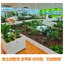 청소년 수련관 문화놀이터(1층) | 광명시 청소년들의 초록빛 아지트, '인생정원'