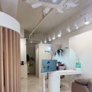 헤이븐헤어 이미지