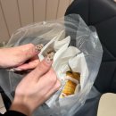 봉아정 | ♡‧₊˚ 25.09月