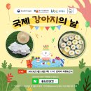 멍뭉다과 이미지