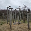 나불도 승마랜드 이미지