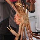 유진포장주식회사 이미지