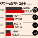 란이마켓