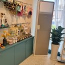 커몽커몽펫 이미지