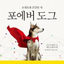 도그프리 이미지