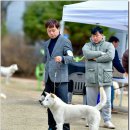 훈이애견 이미지