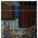 패밀리와와 이미지