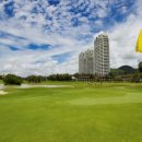 크리스탈 골프클럽 이미지