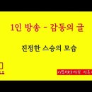 진정한 스승의 모습 - 요즈음 긴요한 덕목 이미지