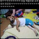 에드