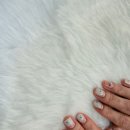 성복역네일 잘하는 곳! 발라드림네일!!