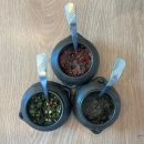 고라데이농부의밥상 이미지