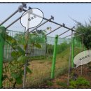 종권농장 이미지