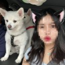 어부바펜션 이미지