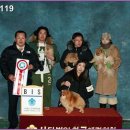 헬리우스 이미지