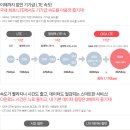 강릉폰 이미지