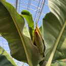 푸르담농장 이미지