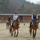 세계승마클럽 | 아이와 주말 나들이, 경기도 승마체험 완벽 가이드