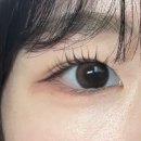 세느네일 이미지