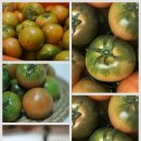 상경농장 이미지