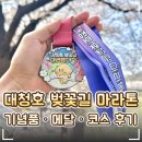 벚꽃길 | 🌸 대전 대청호 벚꽃길 마라톤 후기｜코스·주차·기념품·메달 총정리