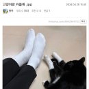 썰네일