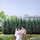 마고스튜디오