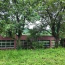 청성초 화성분교 이미지