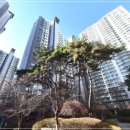 잠일초교병설유치원 이미지